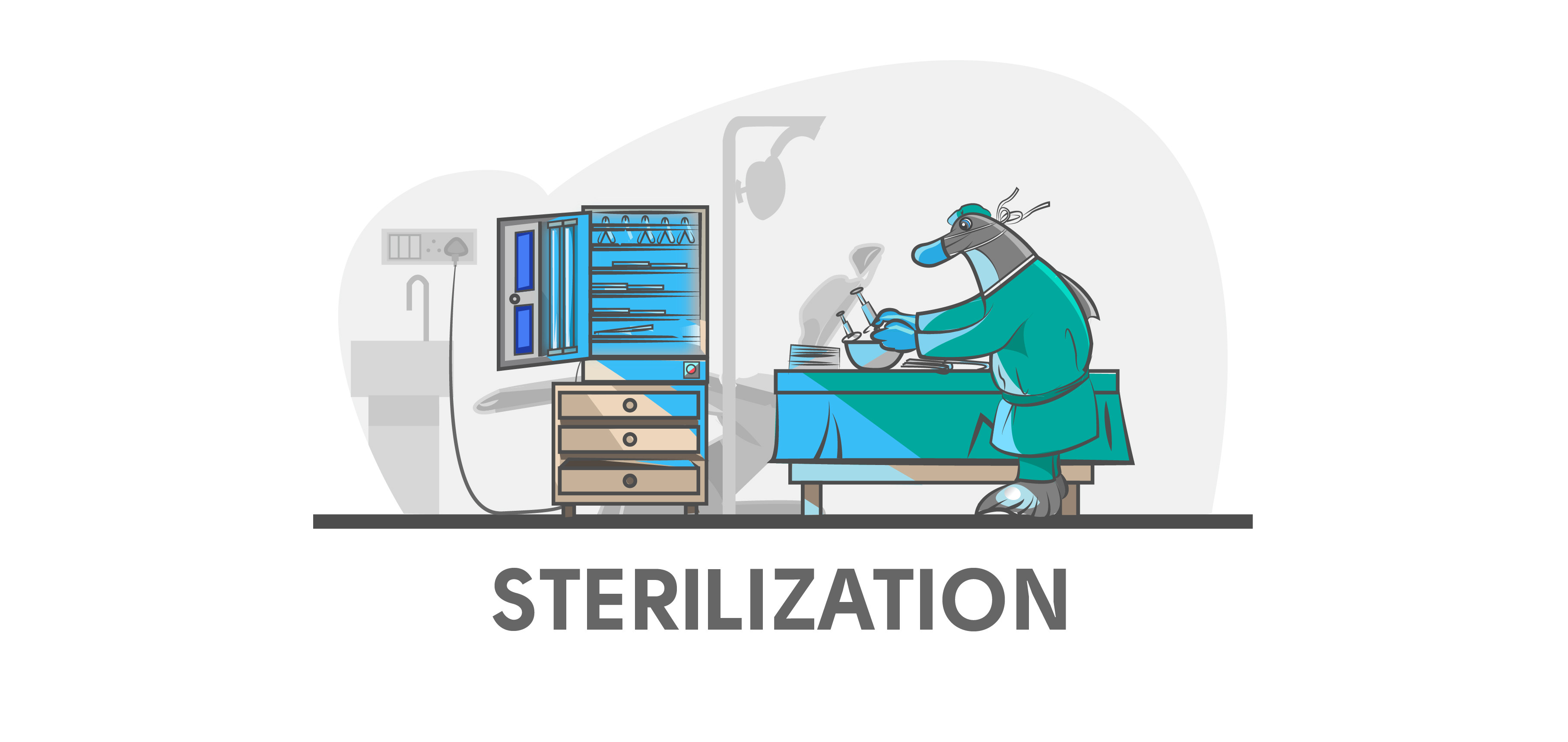 Sterilization Equipments