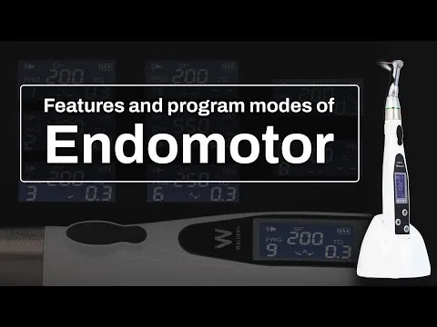 Waldent EndoPro LED Cordless Endomotor