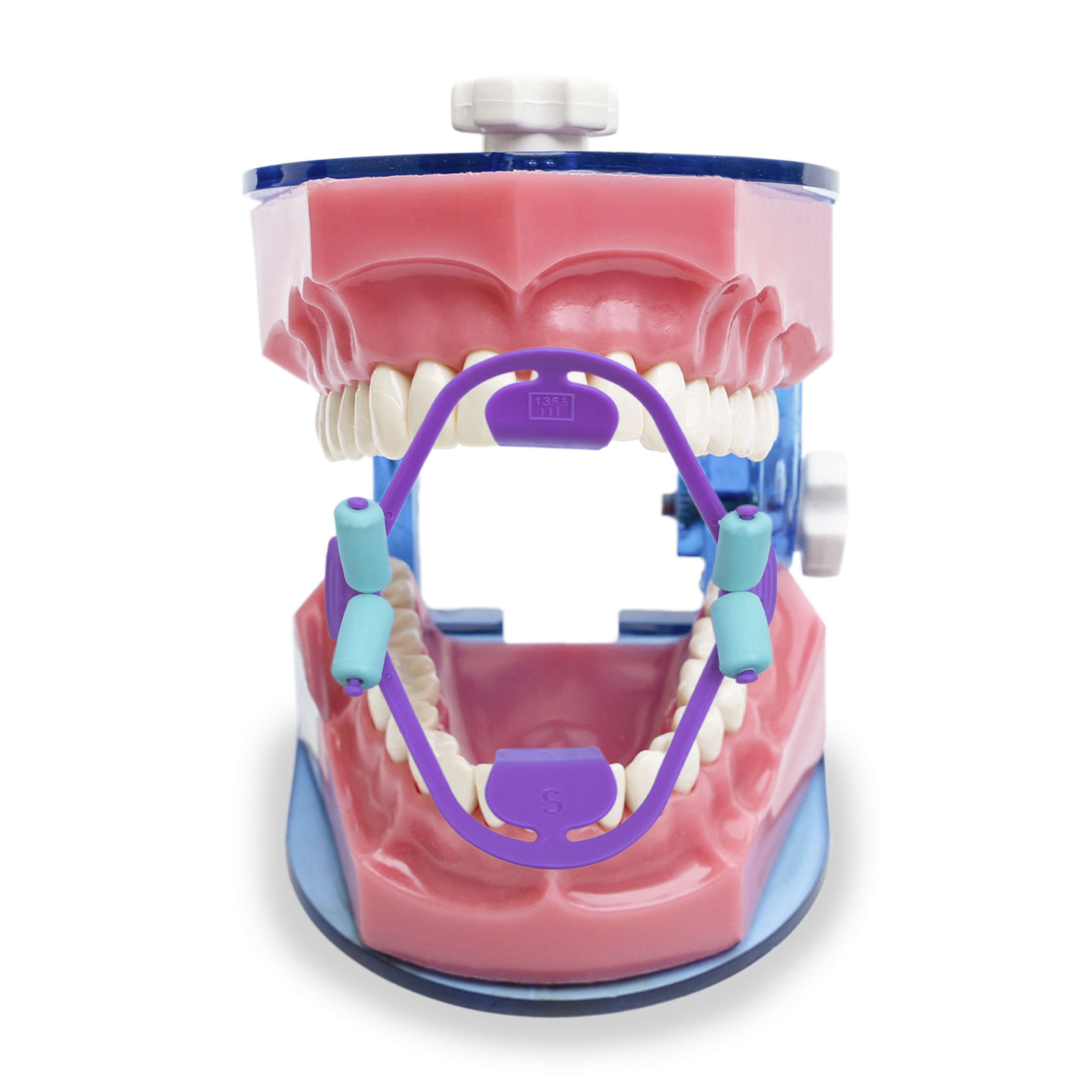 Zenplus 3D Cheek Retractor Small (Purple)