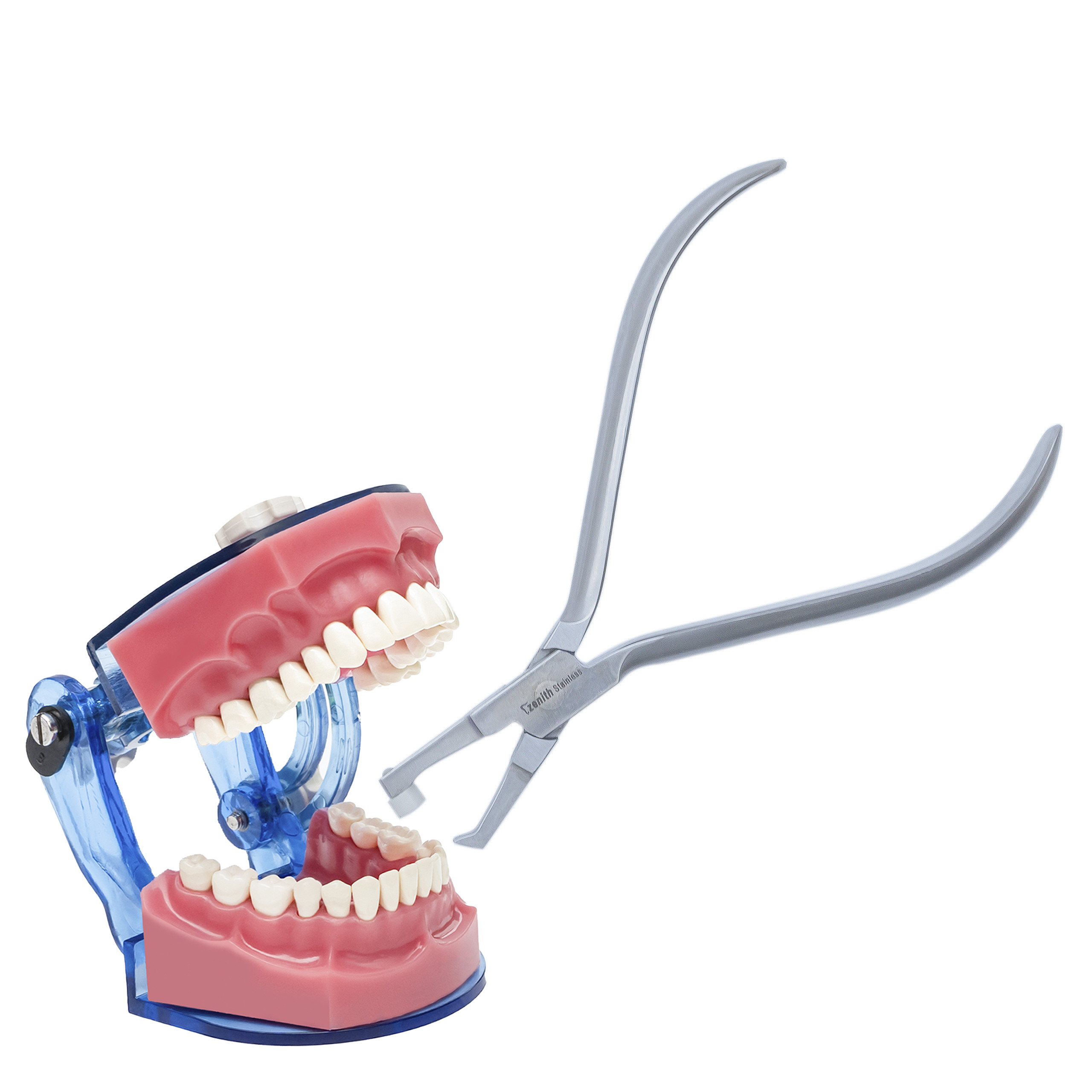 Posterior Band remover - Long TC