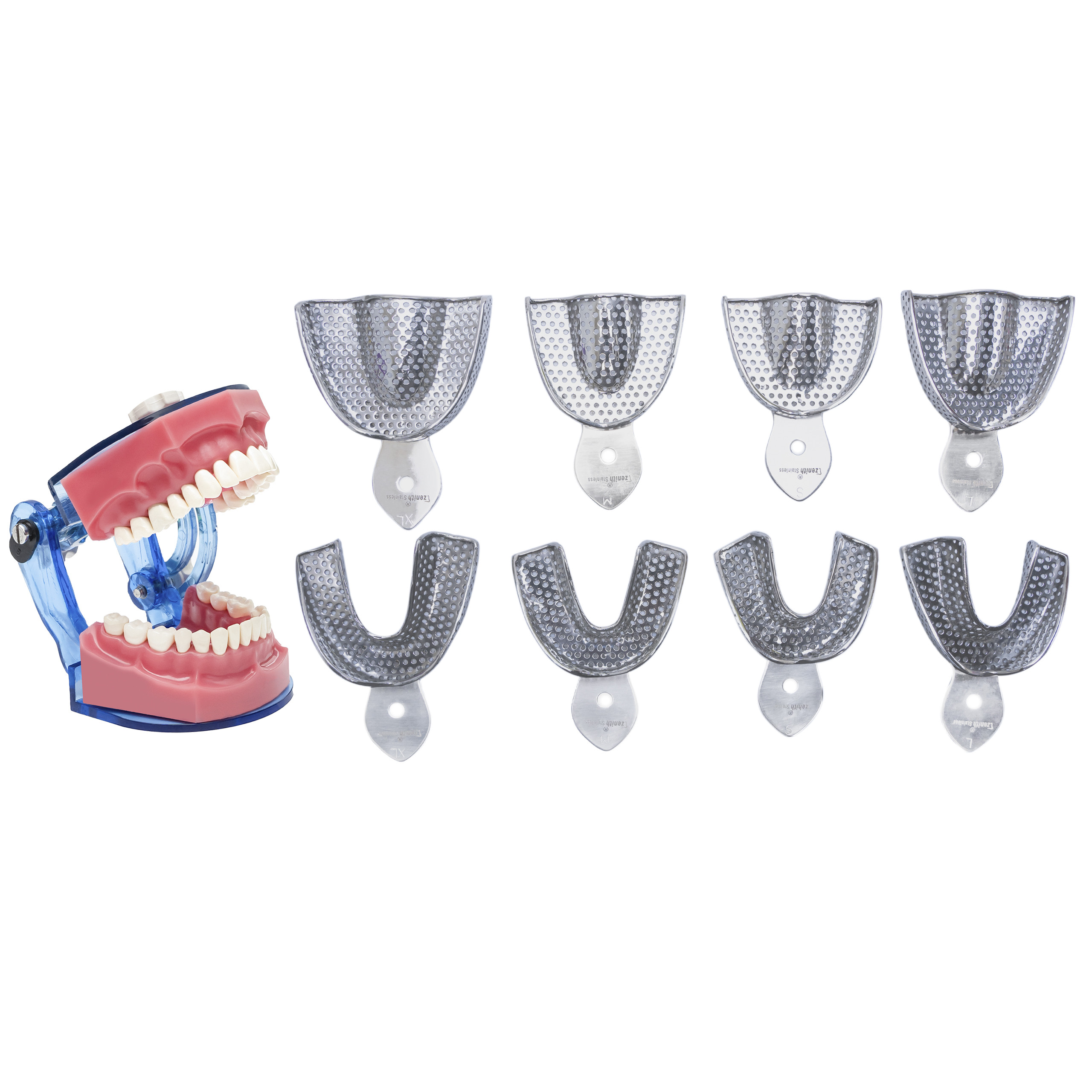 Impression Trays Dentulous Perforated Rim Lock Set Of 8