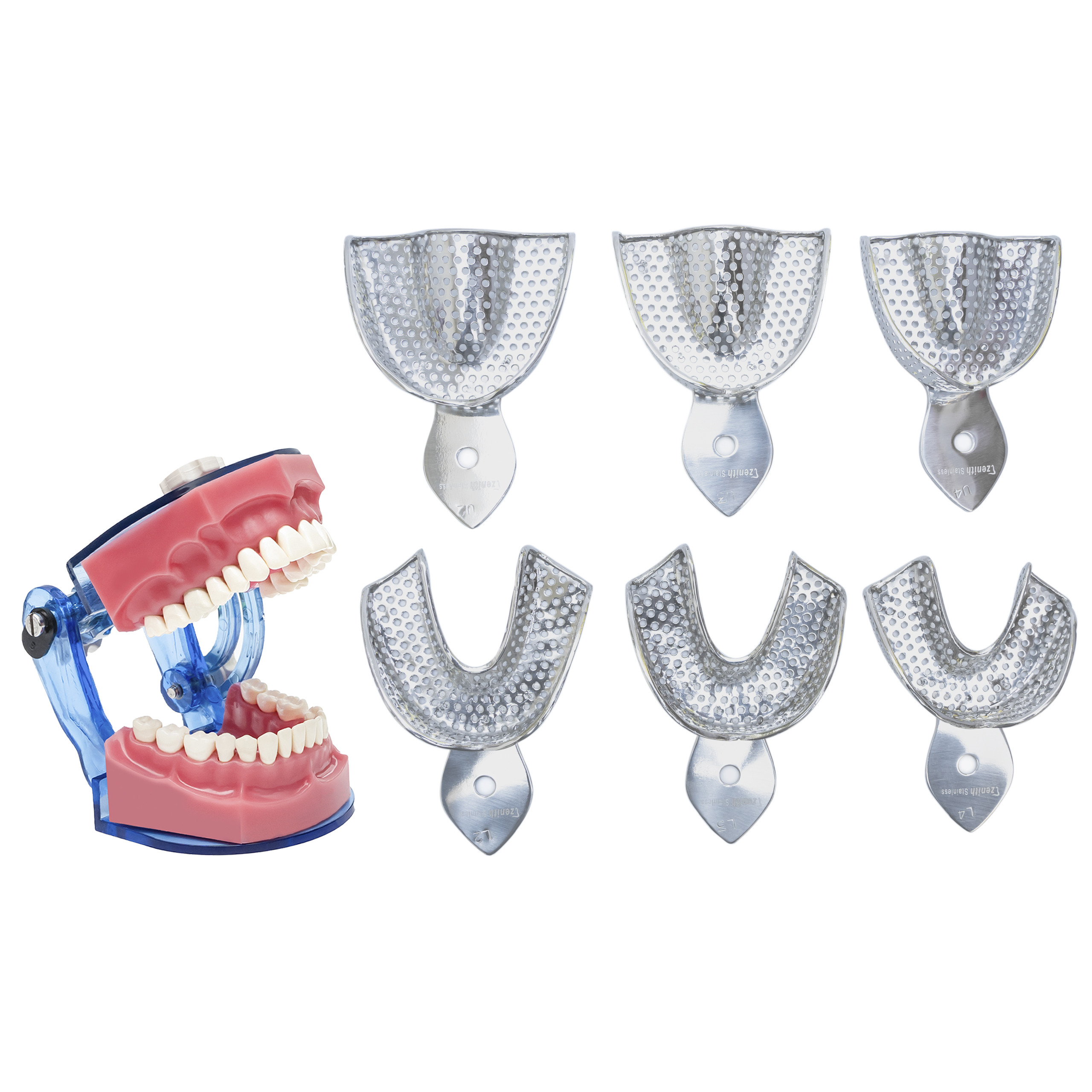 Impression Trays Edentulous Perforated Set Of 6