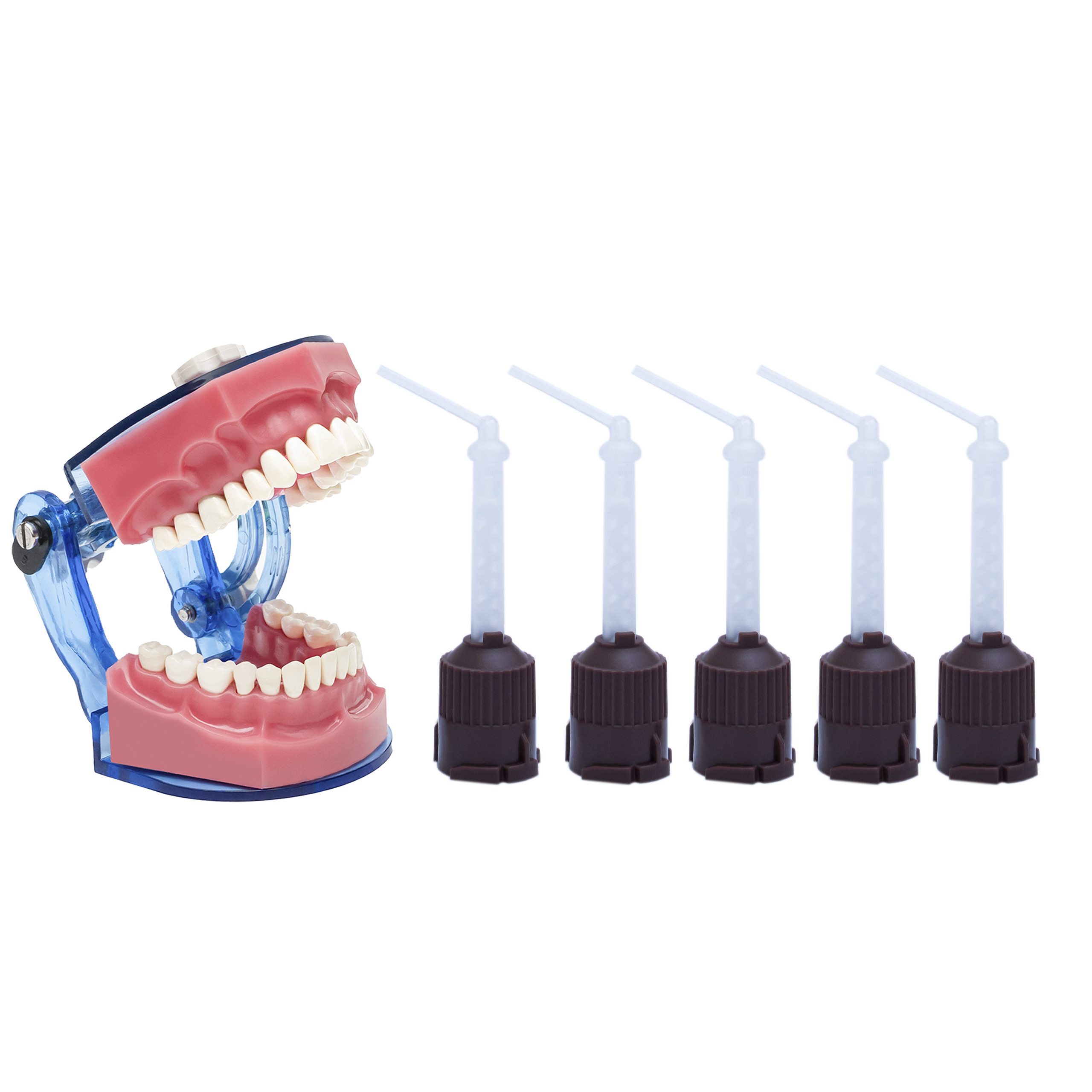 Intra Oral Tips