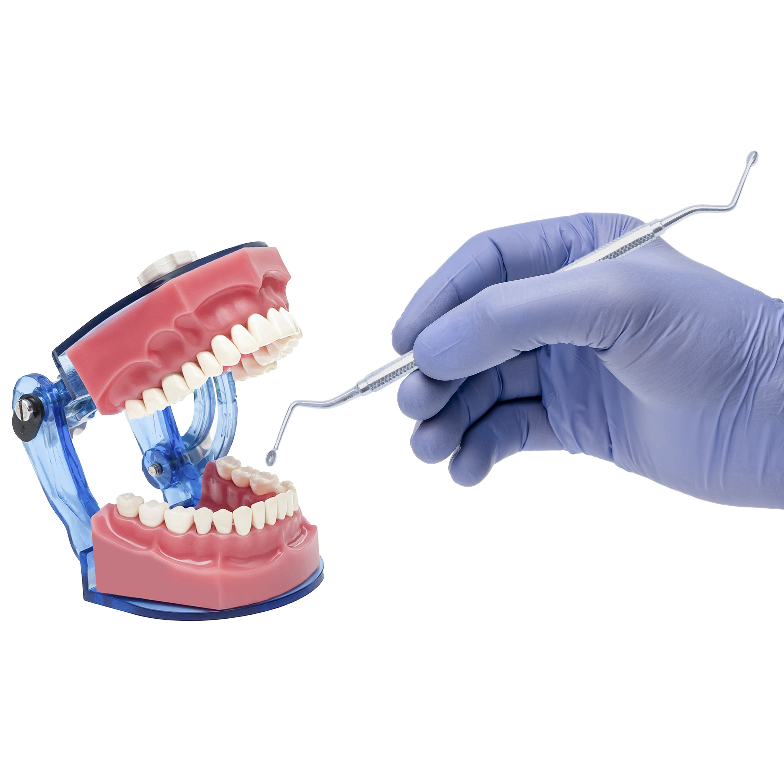 Surgical Bone Curette