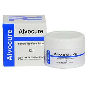 Prevest Denpro Alvocure Paste 12g