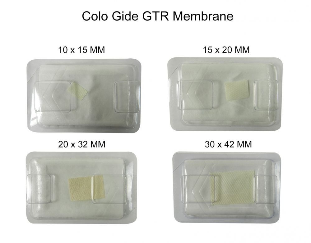 Sterile Collagen Sheets Cologenesis Cologide GTR Membrane 30x42