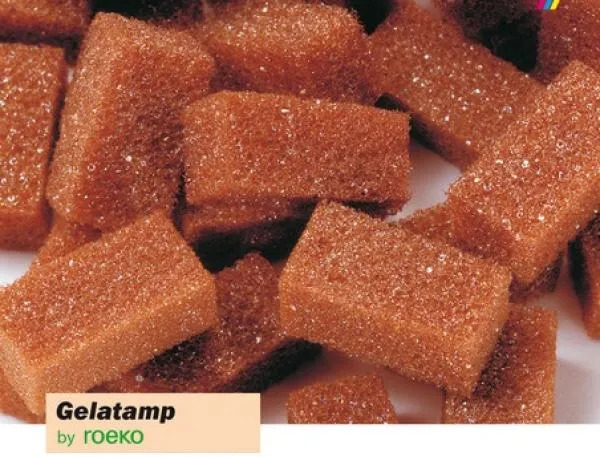 Coltene Roeko Gelatamp Gelatin Sponges Blister Pack Of 20