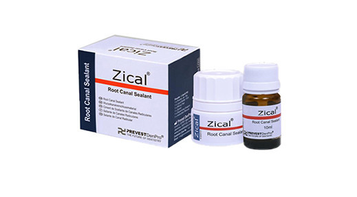 Prevest Denpro Zical ZOE Root Canal Sealant